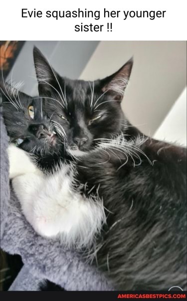 Evie squashing her younger sister
