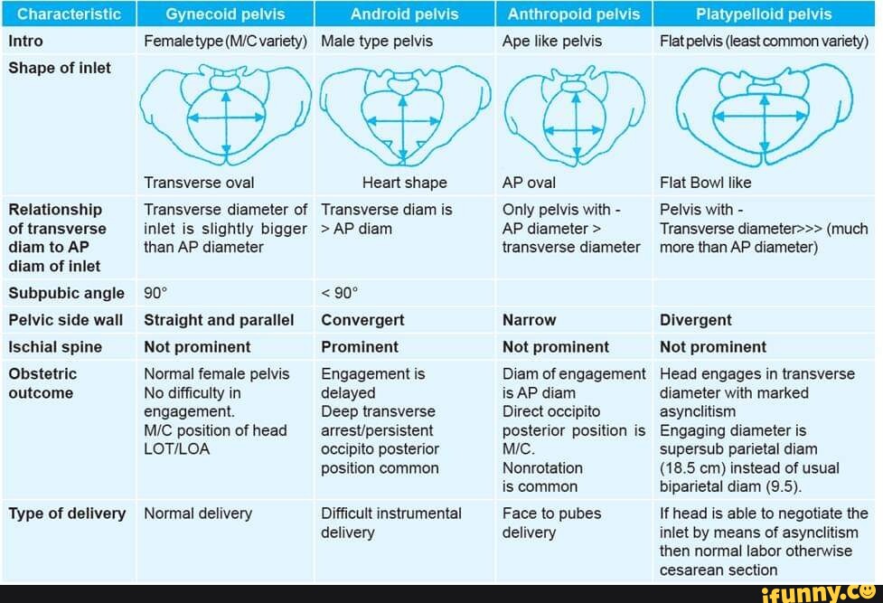 Characteristic Gynecoid Pelvis Android Pelvis Anthropoid Pelvis 