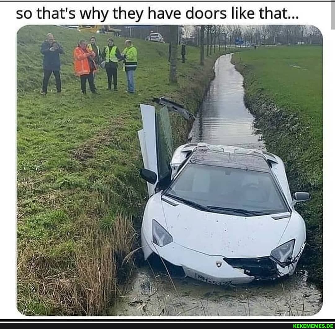 so that's why they have doors like that...