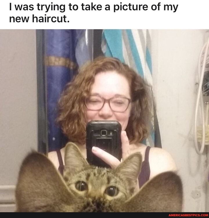 I was trying to take a picture of my new haircut.