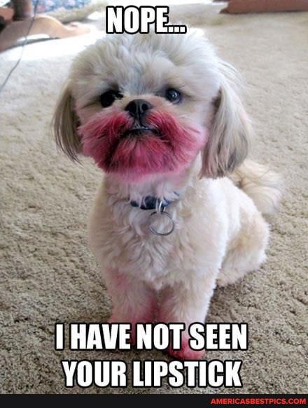 NOPE...
HAVE NOT SEEN VOIR TIDeTICN