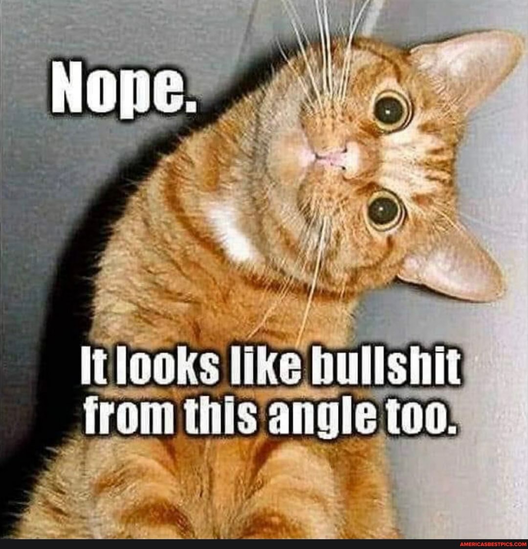 looks like bullshit
angle too,