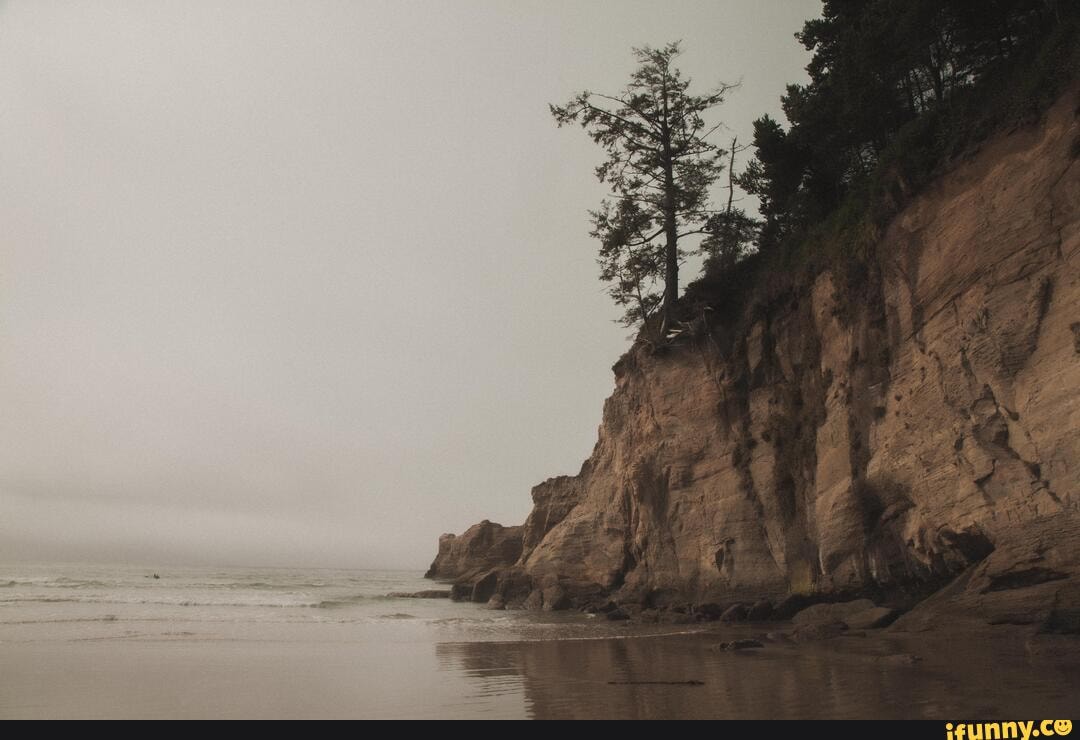 240x240 memes. Best Collection of funny