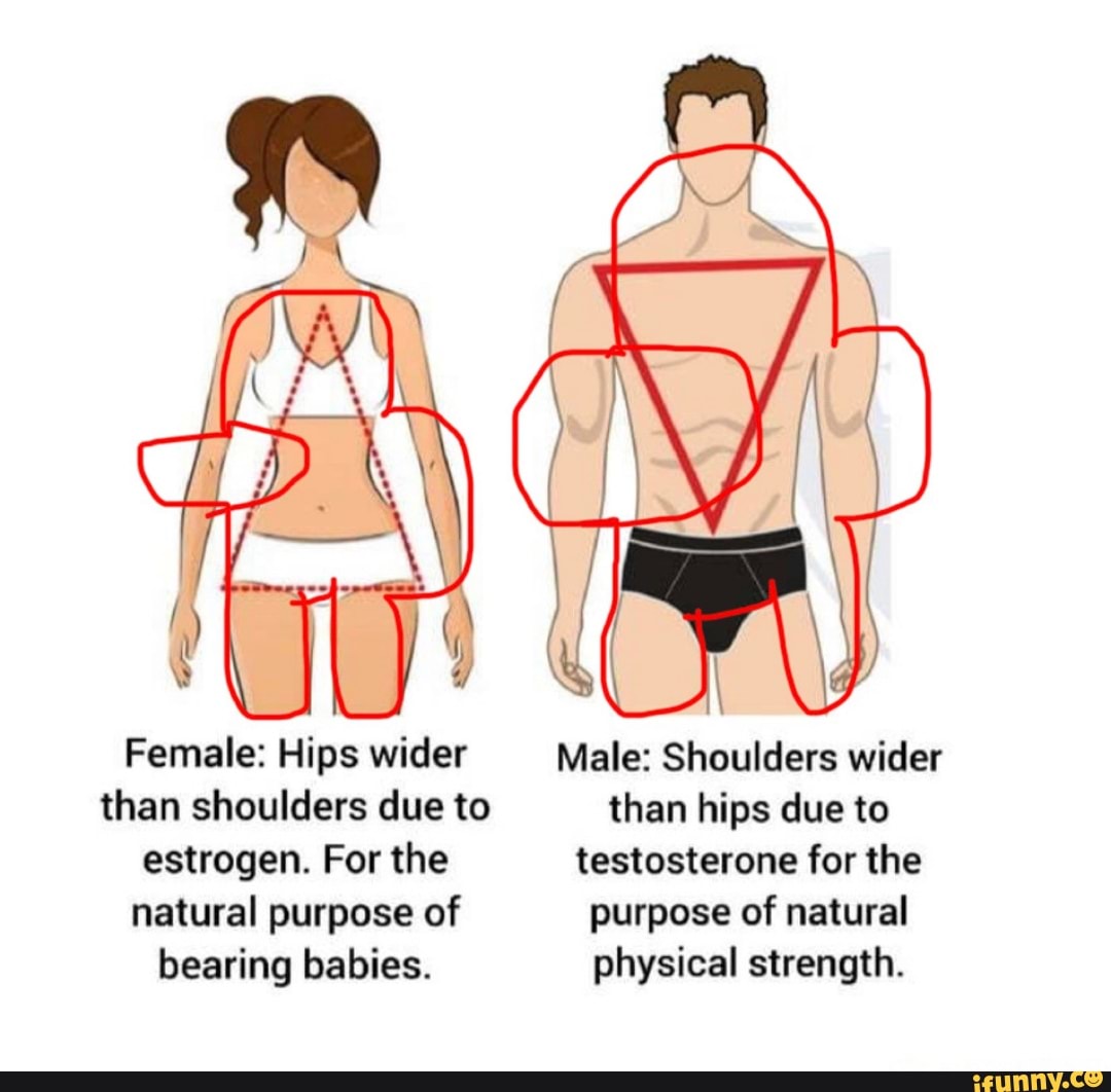 Amongus Sus Female Hips Wider Male Shoulders Wider Than Shoulders
