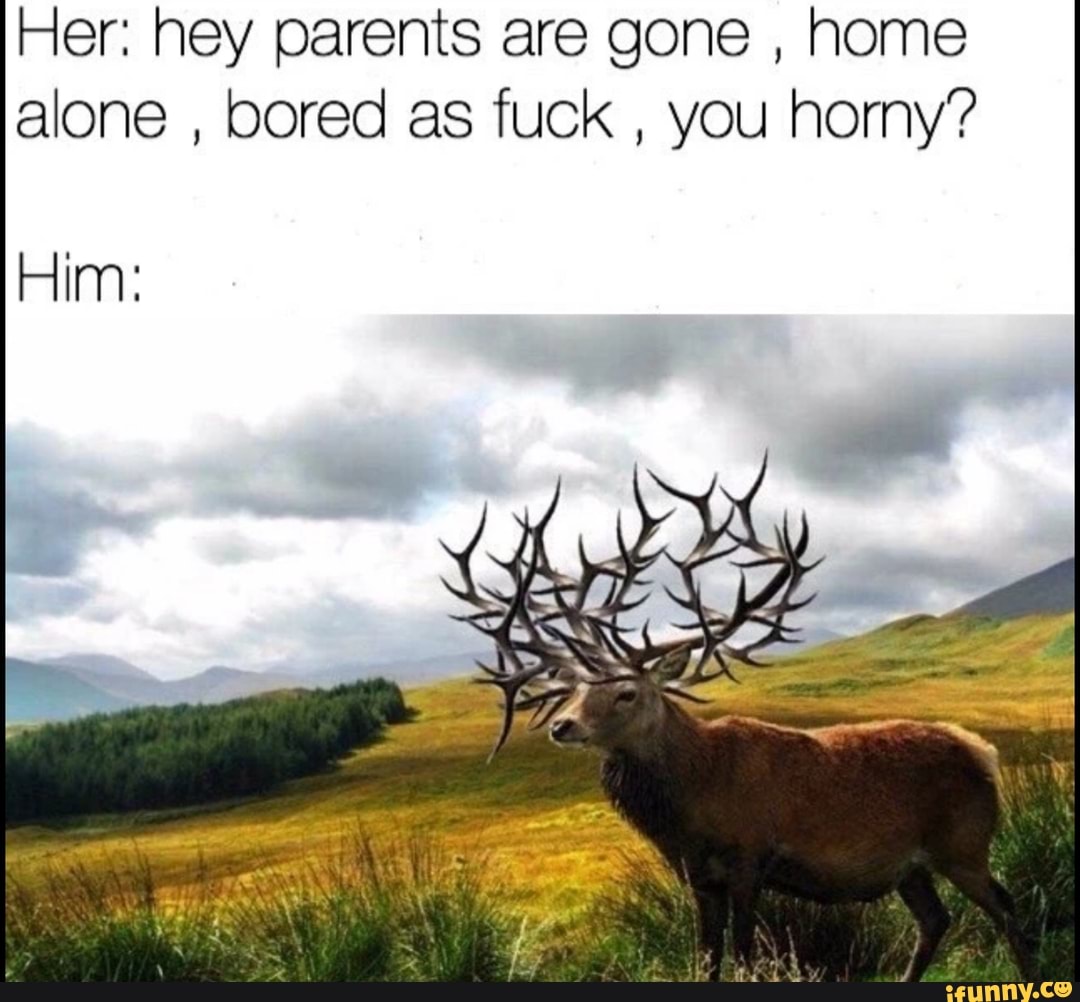 Her: hey parents are gone , home alone , bored as fuck , you homy?
Him: