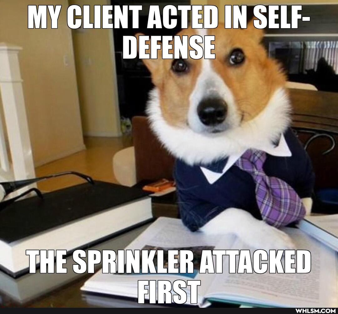 MY CLIENT ACTED IN SELF-
DEFENSE
THE SPRINKLER ATTACKED FIRST
