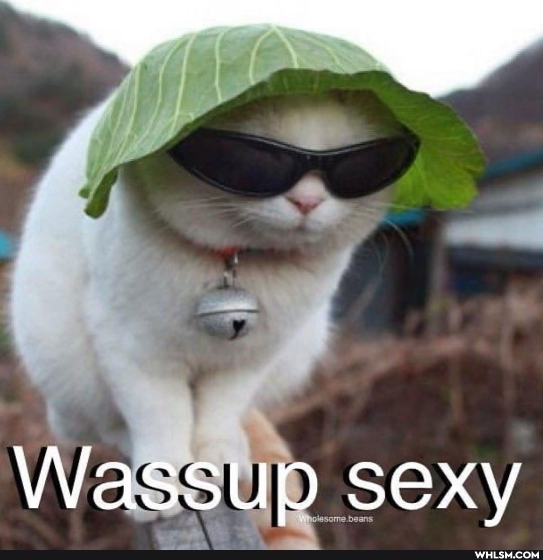 Wassup sexy