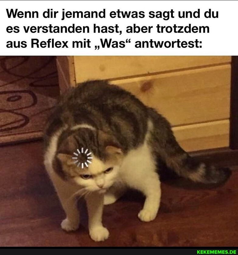 Wenn dir jemand etwas sagt und du es verstanden hast, aber trotzdem aus Reflex mit "Was" antwortest: