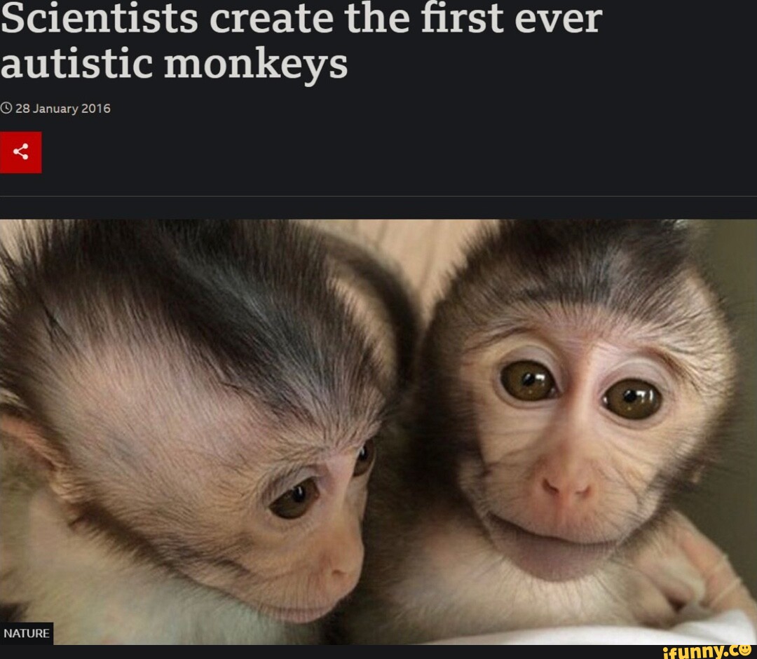 Scientists create the first ever autistic monkeys 28 January 2016 ...