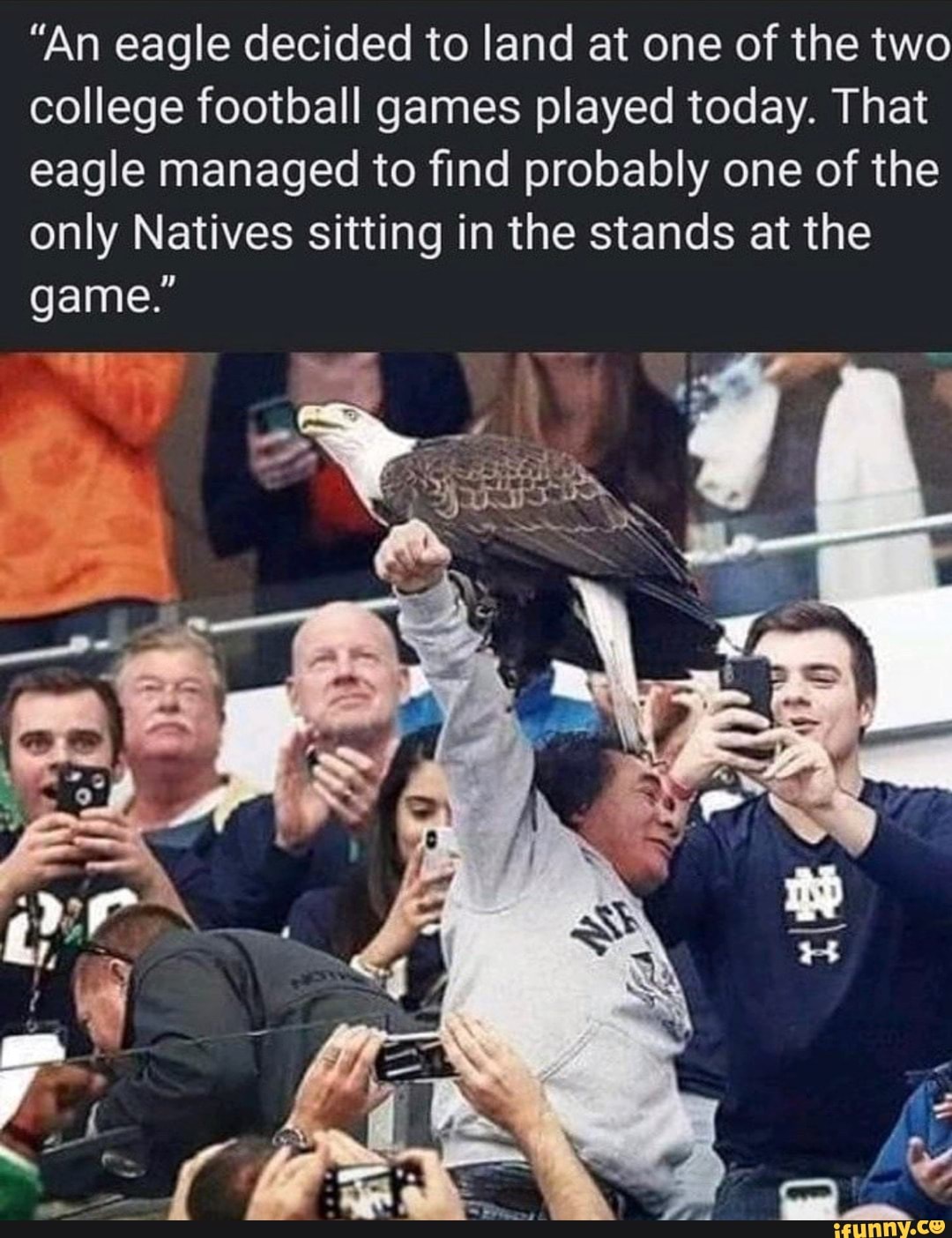 An eagle decided to land at one of the two college football games played  today. That