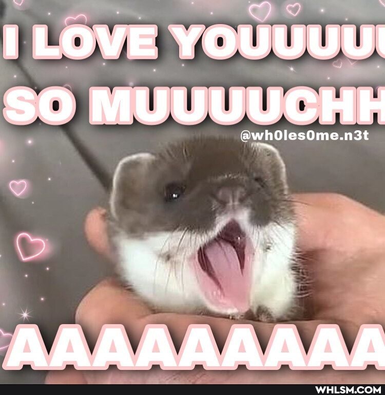 LOVE YOUUUU!
SO MUUUUCHH
@whOlesOme.n3t
AAAAAAAAA