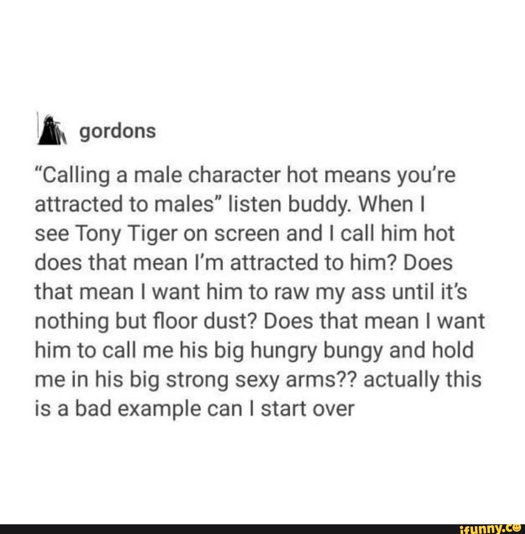 Gordons "Calling a male character hot means you're attracted to males