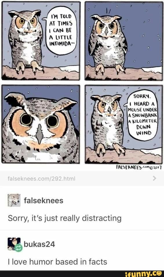 AT TIMES
Sorry, it's just really distracting
I love humor based in facts