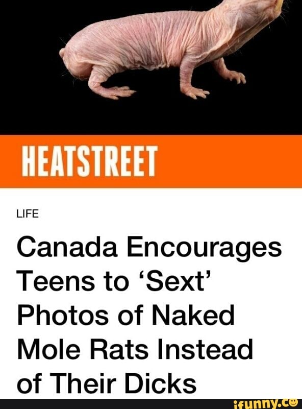 Heatstreet Life Canada Encourages Teens To Sext Photos Of Naked Mole Rats Instead Of Their