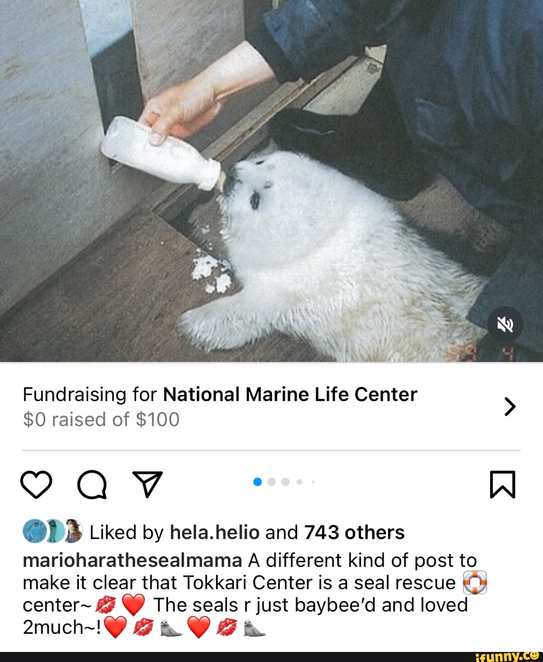 PR NAM, Fundraising for National Marine Life Center > $0 raised of $100