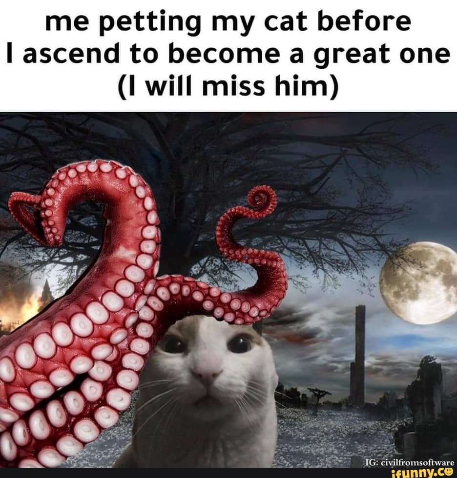 me petting my cat before ascend to become a great one
(I will miss him)
