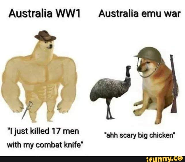 Australia WW1 Australia emu war
"I just killed 17 men
"ahh scary big chicken"
with my combat knife"