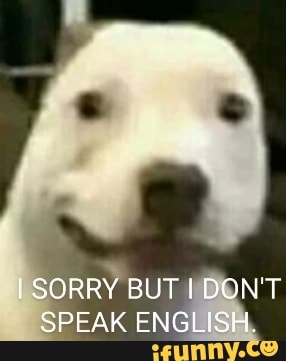 I Sorry But I Don T Speak English