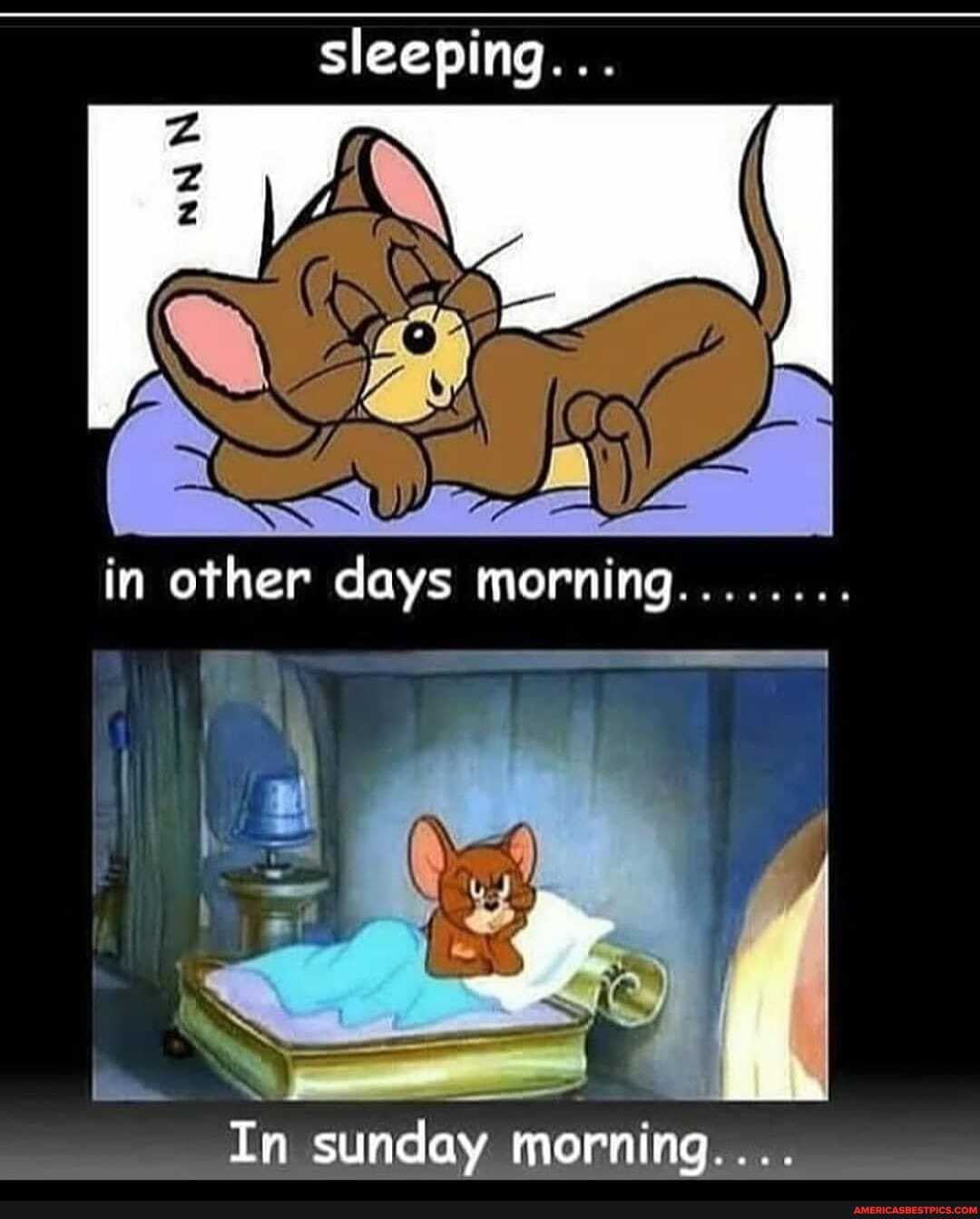 sleeping...
in other days morning........
In sunday morning....