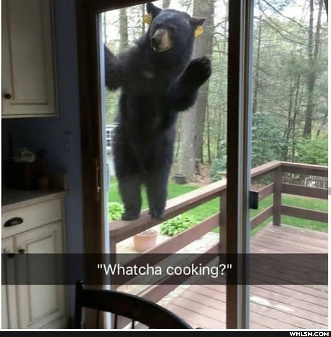 "Whatcha cooking?"
SS I