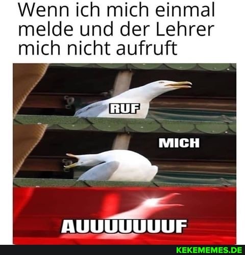 Wenn ich mich einmal
melde und der Lehrer mich nicht aufruft
AUUUUUUUF