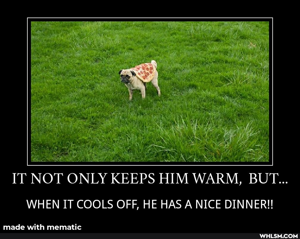 IT NOT ONLY KEEPS HIM WARM, BUT...
WHEN IT COOLS OFF, HE HAS A NICE DINNER!!