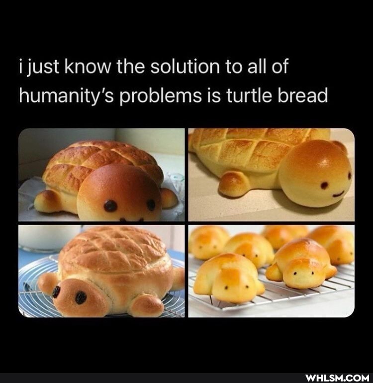 i just know the solution to all of humanity's problems is turtle bread