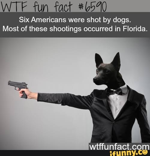 Six Americans were shot by dogs.
Most of these shootings occurred in Florida.
LL,