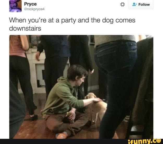 When you're at a party and the dog comes
downstairs
