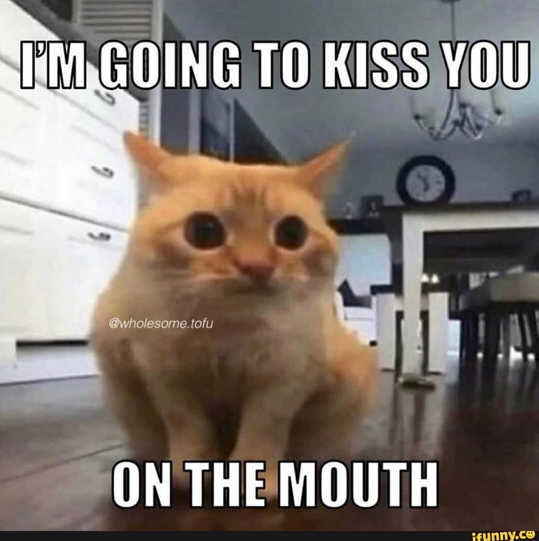 Going To Kiss You On The Mouth Ifunny
