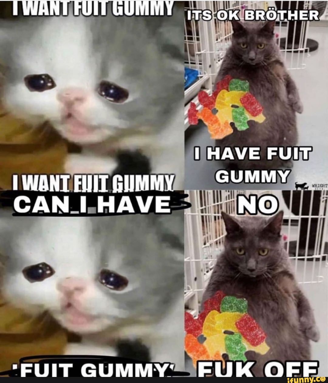 HAVE CAN_I.HAVE