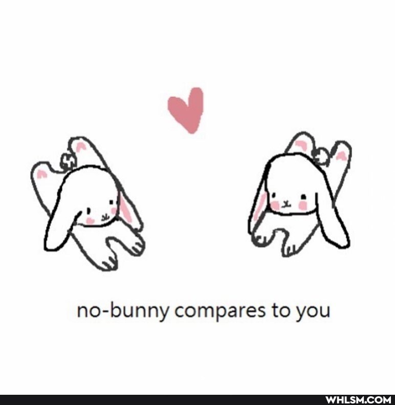 no-bunny compares to you