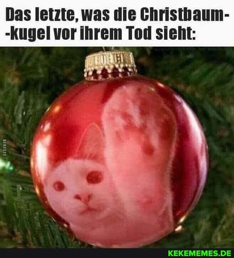 Das letzte, was die Christhaum-
-kugel vor ihrem Tod sieht: