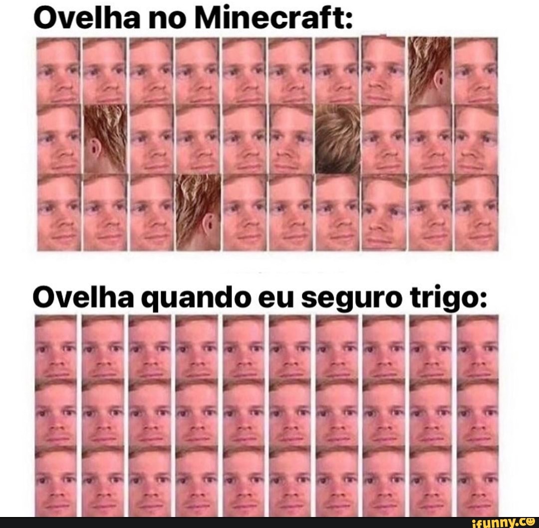Ovelha no Minecraft:
Ovelha quando eu seguro trigo:
EFE gEEJE