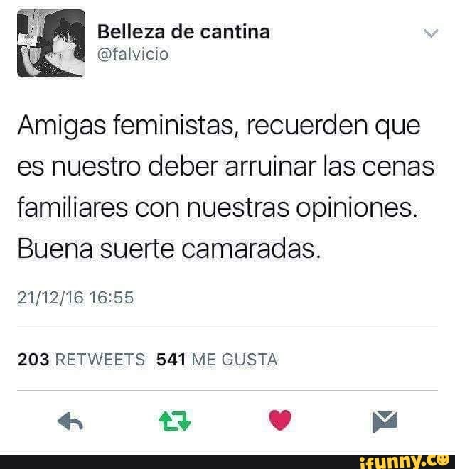 Amigas feministas, recuerden que
es nuestro deber arruinar las cenas
familiares con nuestras opiniones.
Buena suerte camaradas.
21/12/16 16:55
203 RETWEETS 541 ME GUSTA