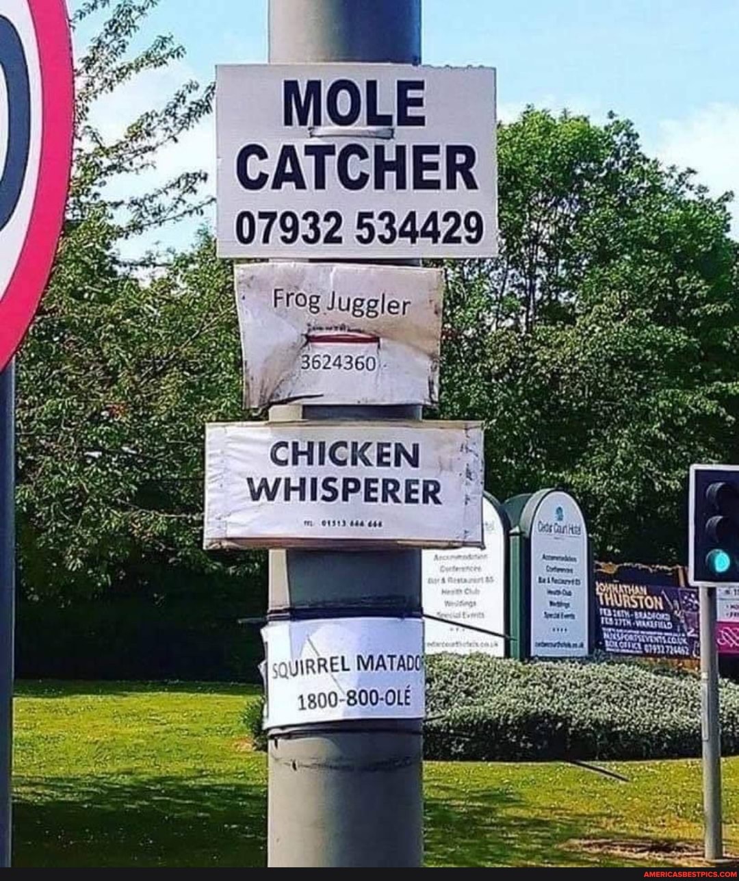 07932 534429
CHICKEN WHISPERER
mm