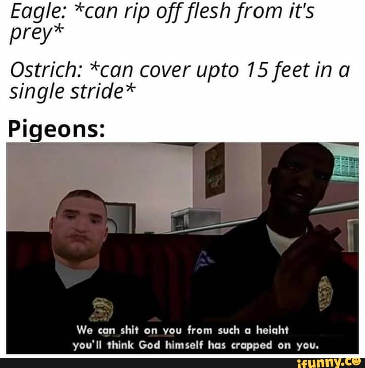 Eagle: *can rip off flesh from it's
prey*
Ostrich: *can cover upto 15 feet in a
single stride*
Pigeons:
We can shit on you from such a height
you'll think God himself has crapped on you.