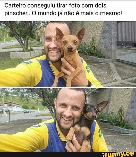 Carteiro conseguiu tirar foto com dois
pinscher.. O mundo já não é mais o mesmo!
