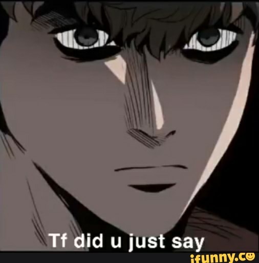 Tf did u just say