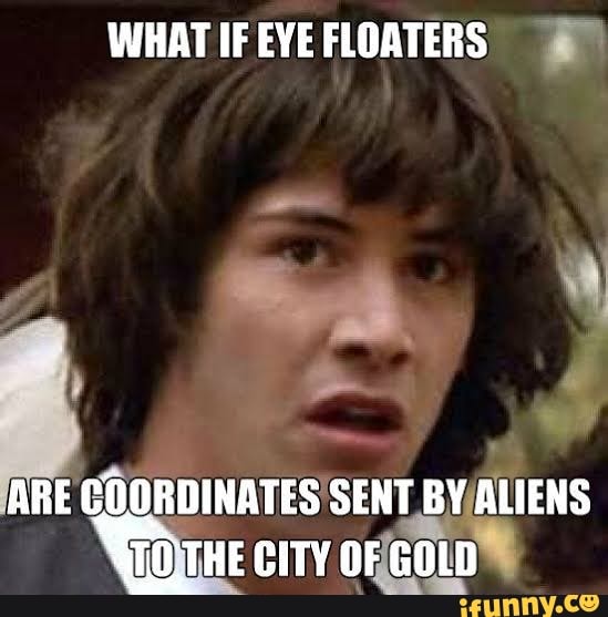 WHAT IF EVE FLOATERS $3
I
