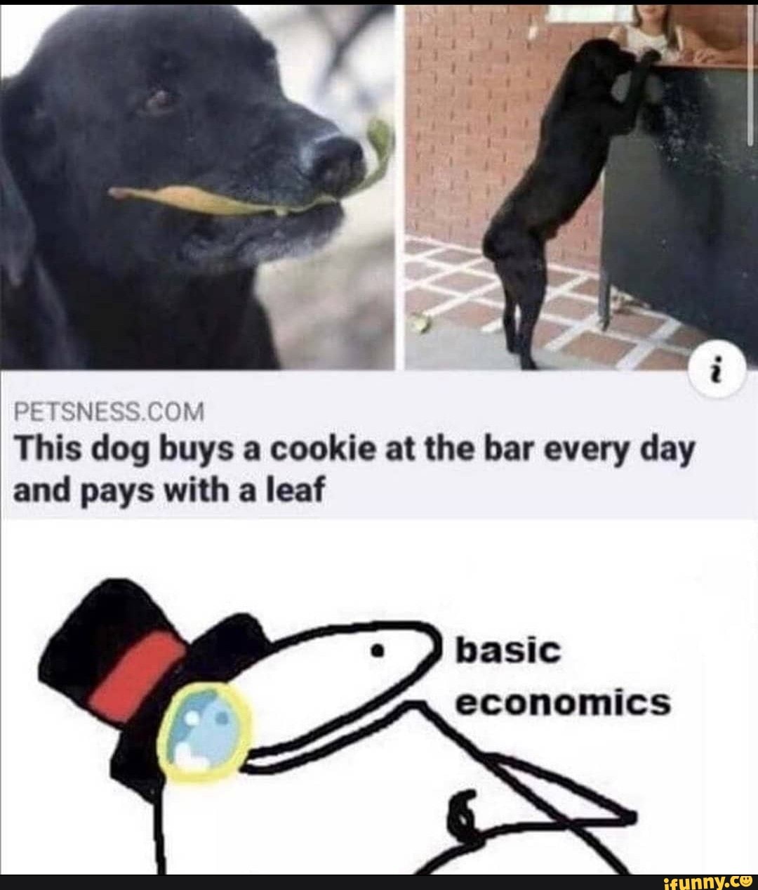 SNES
This dog buys a cookie at the bar every day and pays with a leaf
basic economics
