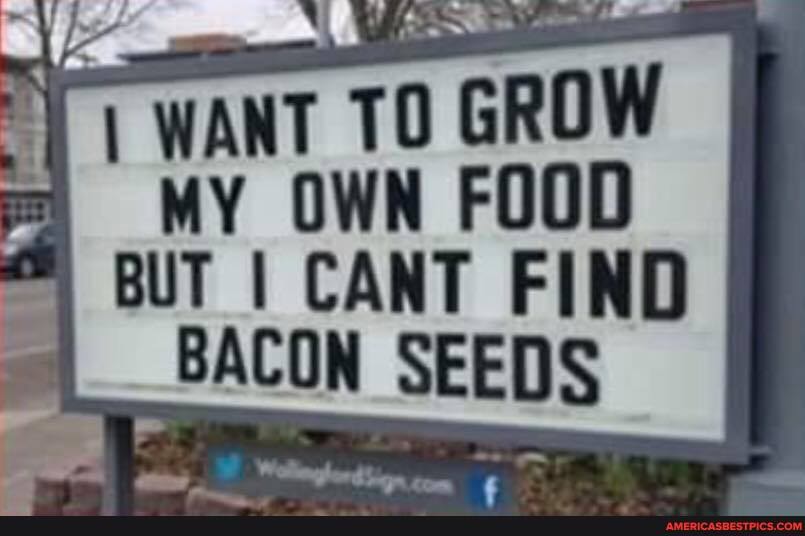 GROW WY OWN FOOD
BUT I CANT FIND BACON SEEDS