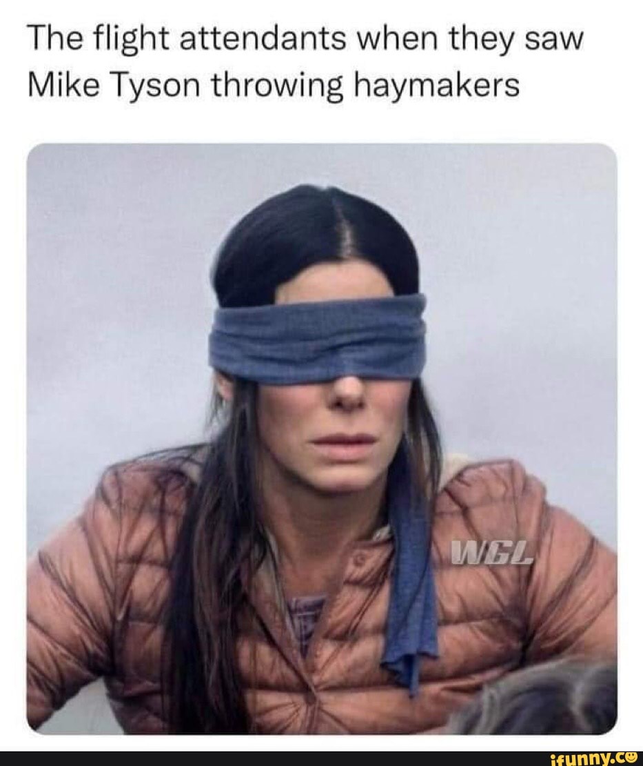 The flight attendants when they saw Mike Tyson throwing haymakers iFunny