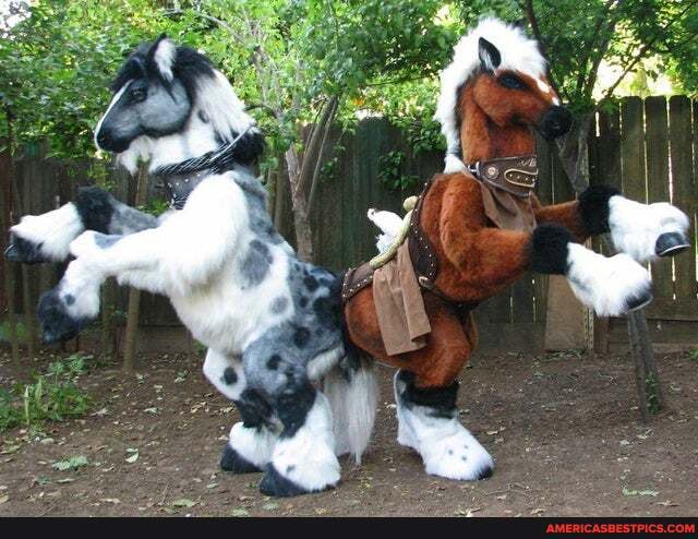 amazing, epona, cosplay, cost, 8000, dollars, took, year