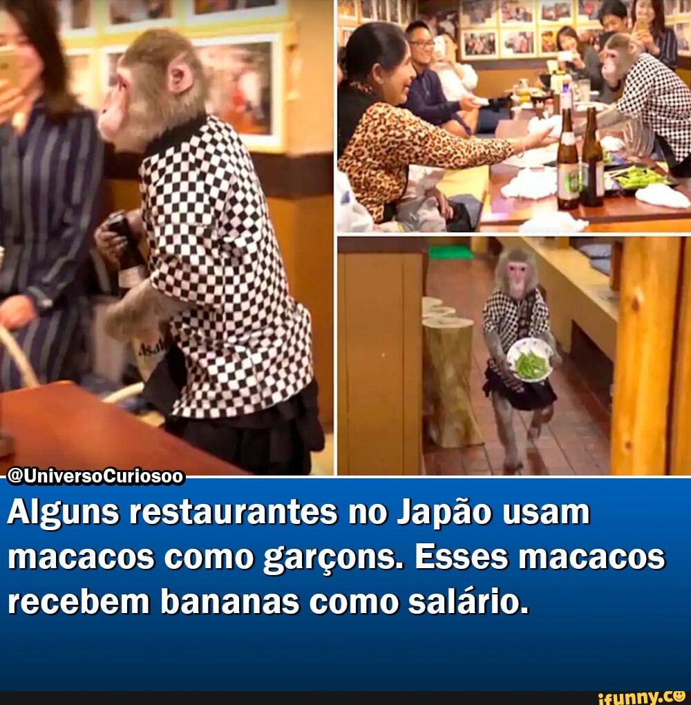 -QUniversoCuriosoo
Alguns restaurantes no Japão usam macacos como garçons. Esses macacos recebem bananas como salário.