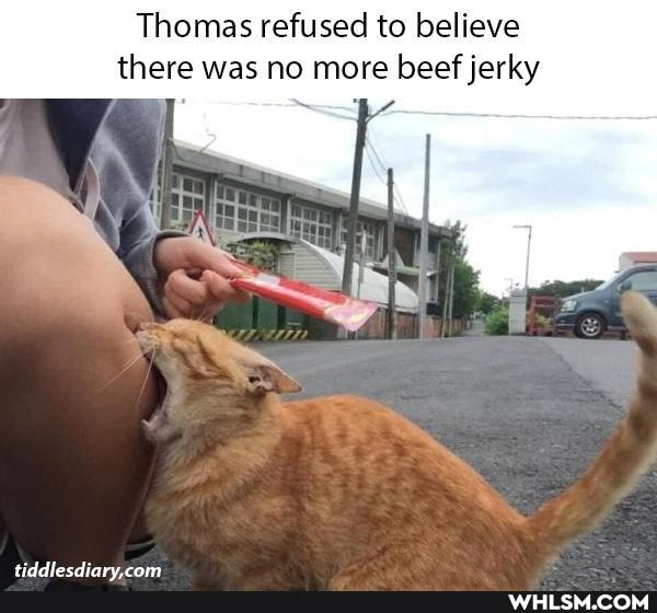 Thomas refused to believe there was no more beef jerky