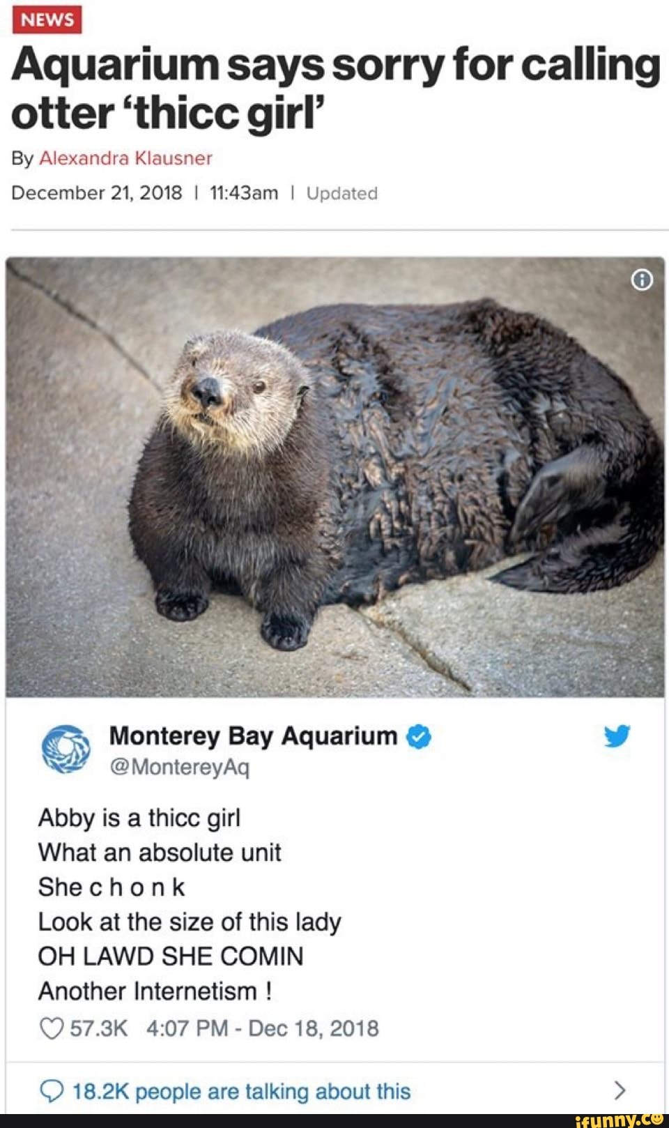 Aquarium says sorry for calling otter ‘thicc girl’ By Alexandra