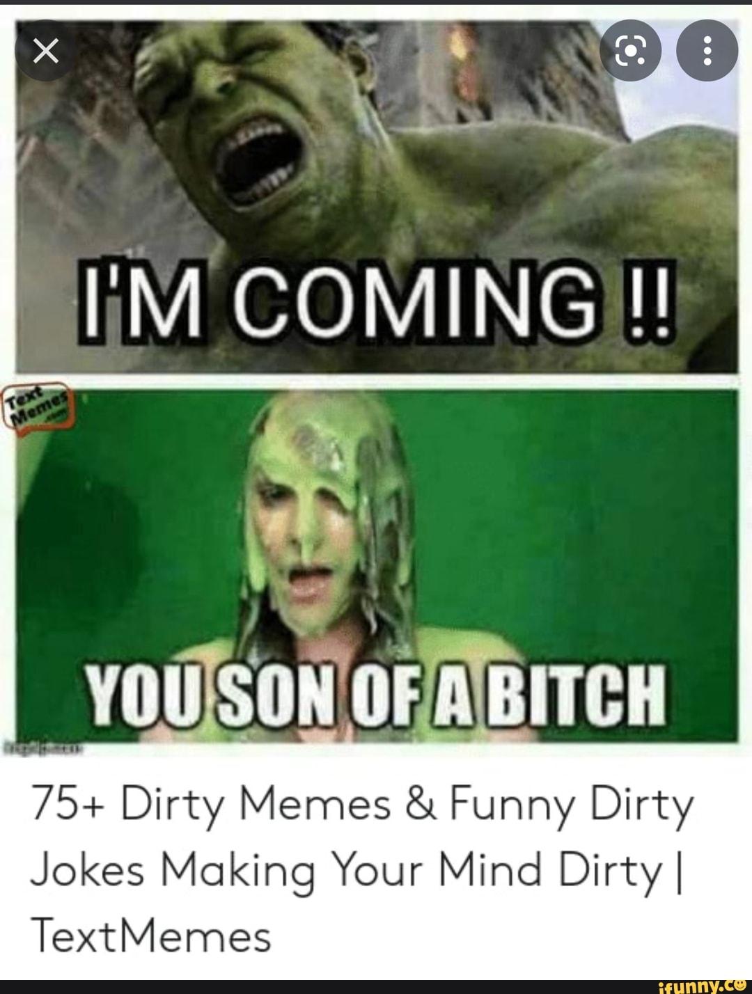 I'M COMING YOUSONOFABITCH 75+ Dirty Memes & Funny Dirty Jokes Making Your  Mind Dirty I TextMemes 