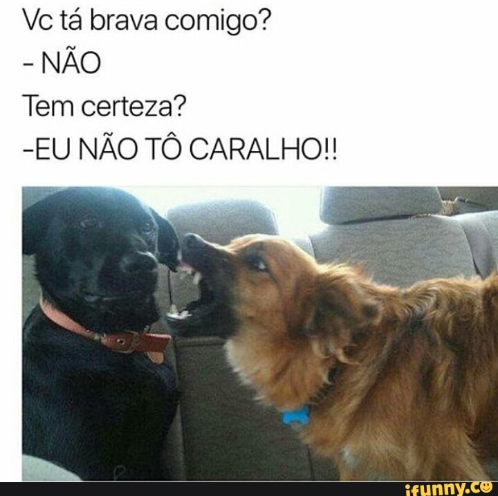 Vc tá brava comigo?
NÃO
Tem certeza?
-EU NÃO TÔ CARALHO!!