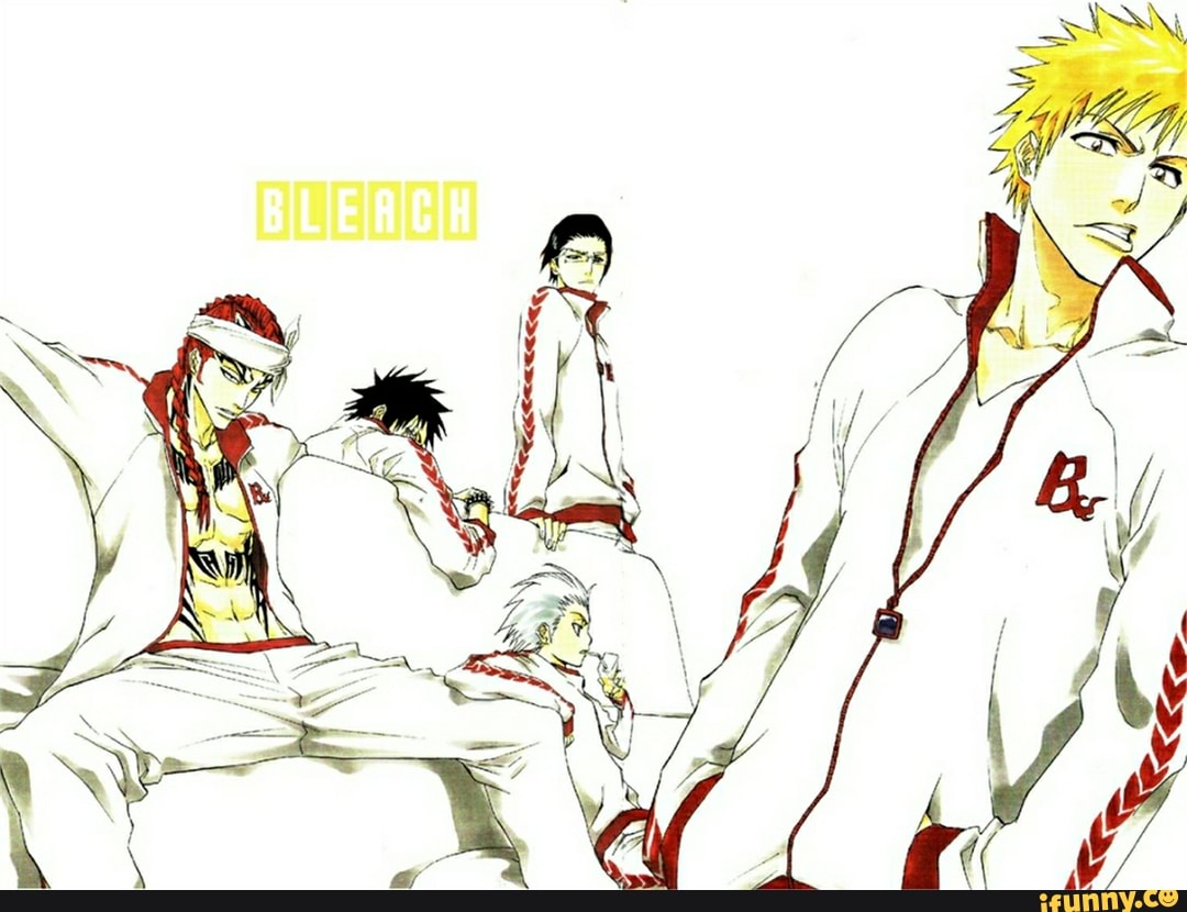 ichigokurosaki, bleach, bleachanime, toshirohitsugaya 